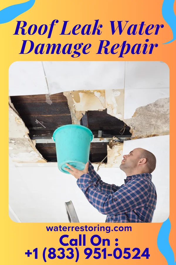 Roof Leak Water Damage Repair in Ossipee, NC